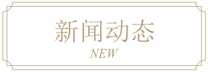 新闻动态